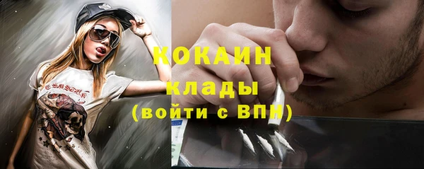 хмурый Арсеньев
