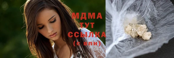 хмурый Арсеньев