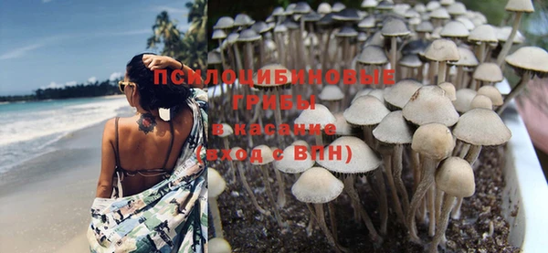 бошки Нязепетровск