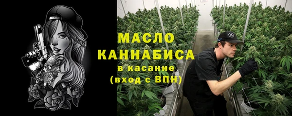 хмурый Арсеньев