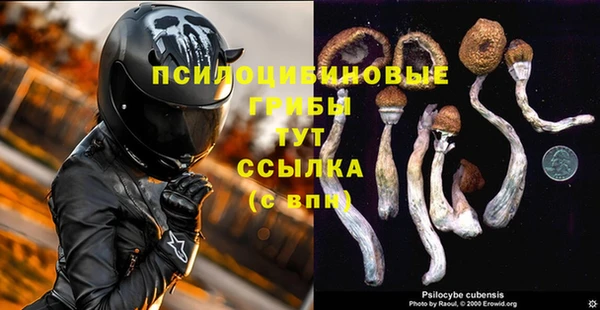 дурь Армянск