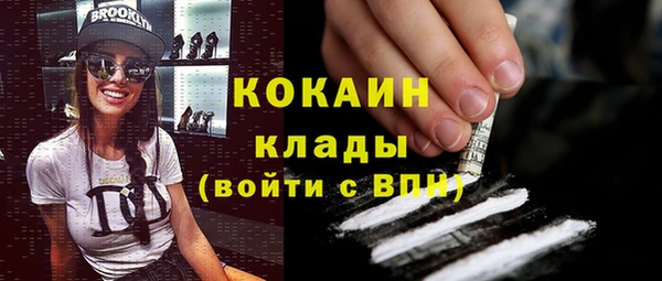 ешки Алексин