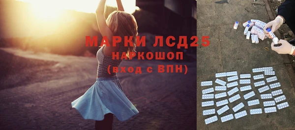 хмурый Арсеньев